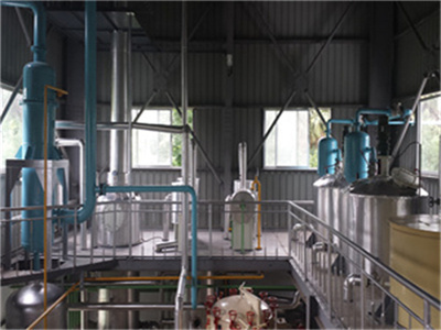 cheap price double palm fruits oil processing plant